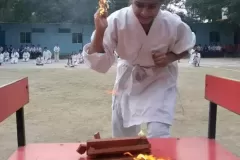 51380e55-2bbe-4100-8141-6c22409440e5